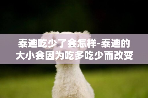 泰迪吃少了會怎樣-泰迪的大小會因為吃多吃少而改變嗎