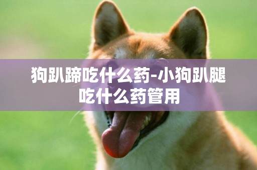 狗趴蹄吃什么藥-小狗趴腿吃什么藥管用