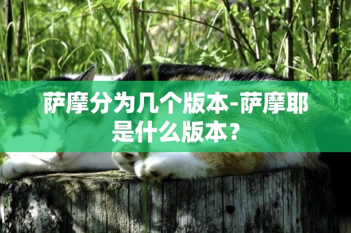 薩摩分為幾個版本-薩摩耶是什么版本？