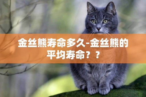 金絲熊壽命多久-金絲熊的平均壽命？？