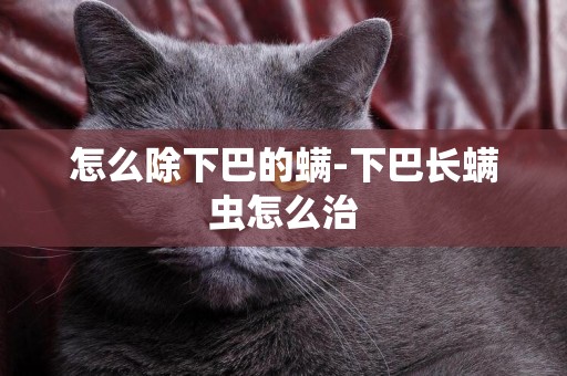 怎么除下巴的螨-下巴長螨蟲怎么治