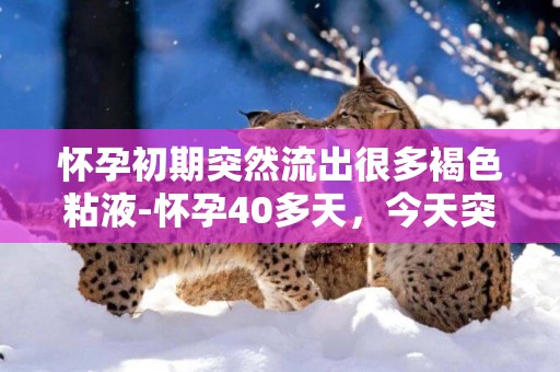 懷孕初期突然流出很多褐色粘液-懷孕40多天，今天突然底部流出褐色黏液，肚子不疼，這是啥意思，第一次流