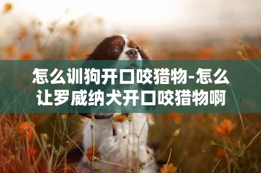 怎么訓狗開口咬獵物-怎么讓羅威納犬開口咬獵物啊