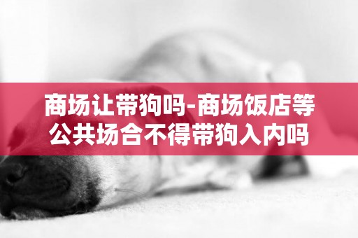 商場讓帶狗嗎-商場飯店等公共場合不得帶狗入內嗎