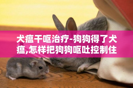 犬瘟干嘔治療-狗狗得了犬瘟,怎樣把狗狗嘔吐控制住