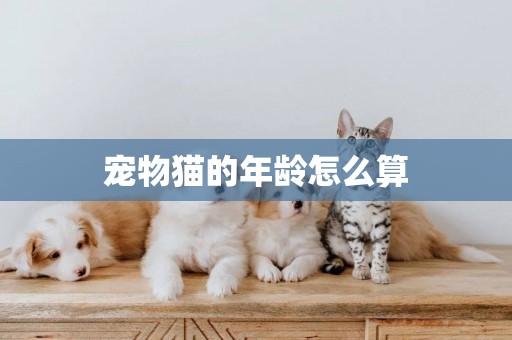 寵物貓的年齡怎么算
