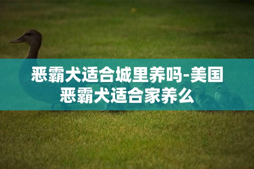 惡霸犬適合城里養嗎-美國惡霸犬適合家養么