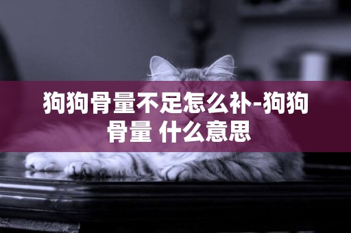 狗狗骨量不足怎么補-狗狗 骨量 什么意思