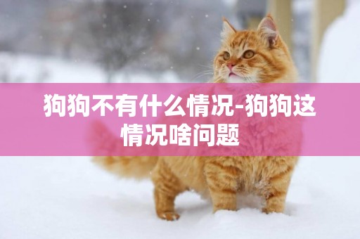 狗狗不有什么情況-狗狗這情況啥問題
