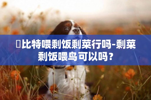 恵比特喂剩飯剩菜行嗎-剩菜剩飯喂鳥可以嗎？