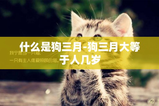 什么是狗三月-狗三月大等于人幾歲