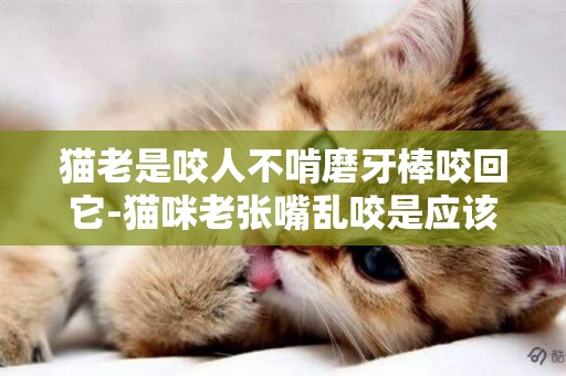 貓老是咬人不啃磨牙棒咬回它-貓咪老張嘴亂咬是應該給它買磨牙棒嗎？