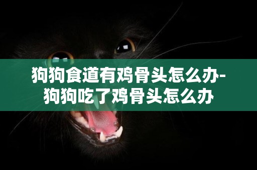狗狗食道有雞骨頭怎么辦-狗狗吃了雞骨頭怎么辦