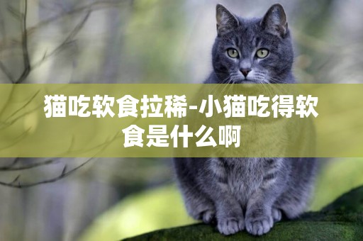 貓吃軟食拉稀-小貓吃得軟食是什么啊