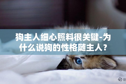 狗主人細心照料很關鍵-為什么說狗的性格隨主人？