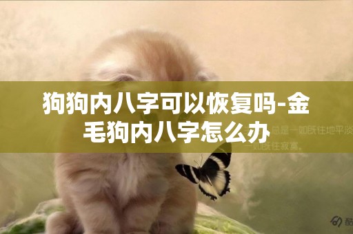 狗狗內八字可以恢復嗎-金毛狗內八字怎么辦