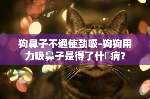 狗鼻子不通使勁吸-狗狗用力吸鼻子是得了什麼病？