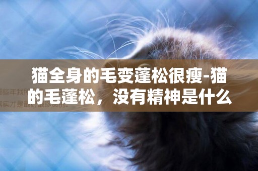 貓全身的毛變蓬松很瘦-貓的毛蓬松，沒有精神是什么原因？