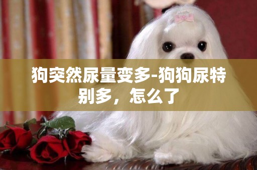 狗突然尿量變多-狗狗尿特別多，怎么了