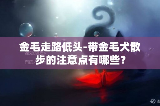 金毛走路低頭-帶金毛犬散步的注意點有哪些？