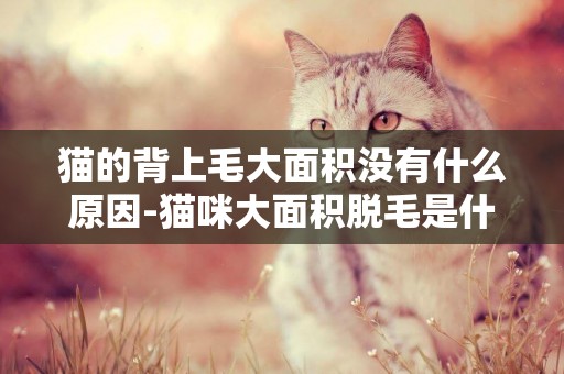 貓的背上毛大面積沒有什么原因-貓咪大面積脫毛是什么病？