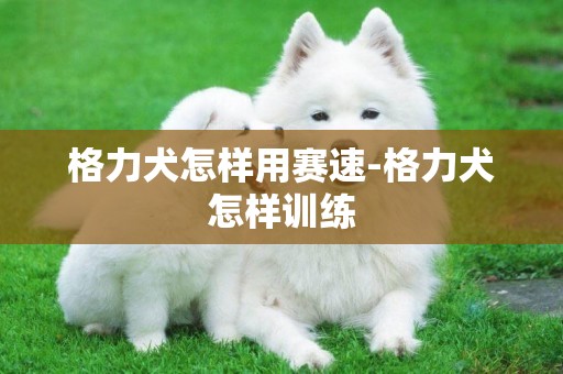 格力犬怎樣用賽速-格力犬怎樣訓練