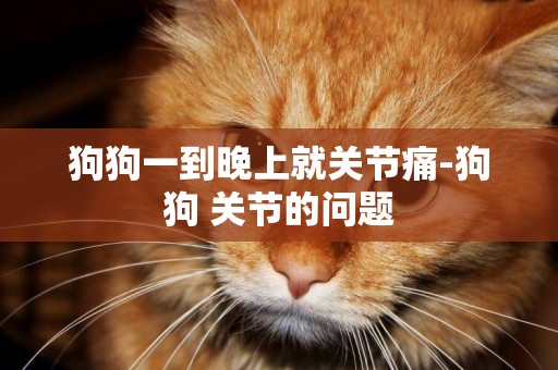 狗狗一到晚上就關節痛-狗狗 關節的問題