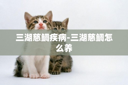 三湖慈鯛疾病-三湖慈鯛怎么養