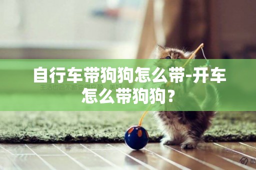 自行車帶狗狗怎么帶-開車怎么帶狗狗？