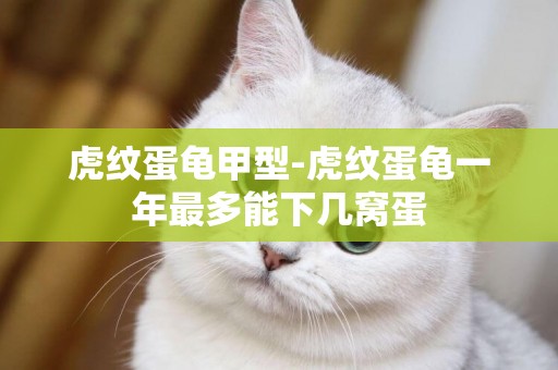 虎紋蛋龜甲型-虎紋蛋龜一年最多能下幾窩蛋