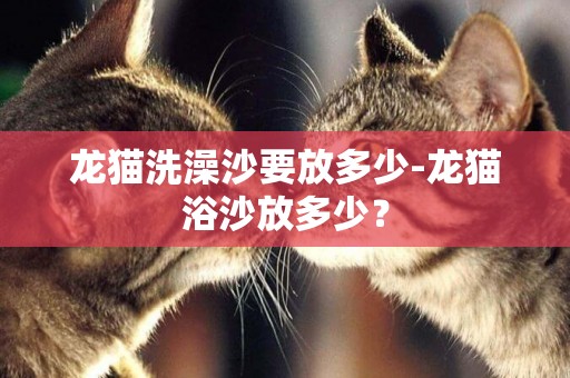 龍貓洗澡沙要放多少-龍貓浴沙放多少？