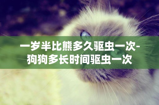一歲半比熊多久驅蟲一次-狗狗多長時間驅蟲一次
