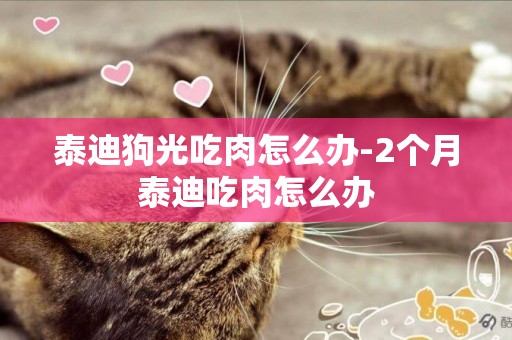 泰迪狗光吃肉怎么辦-2個月泰迪吃肉怎么辦