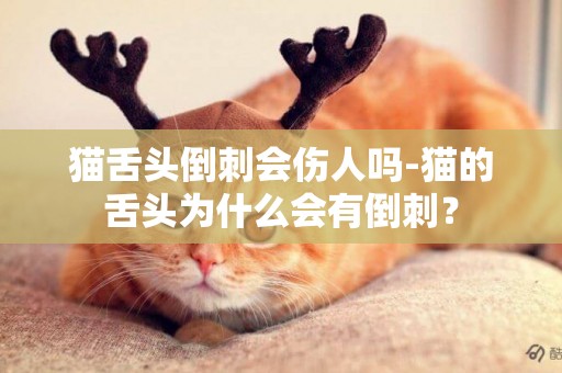 貓舌頭倒刺會傷人嗎-貓的舌頭為什么會有倒刺？