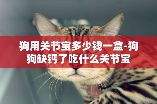 狗用關節寶多少錢一盒-狗狗缺鈣了吃什么關節寶