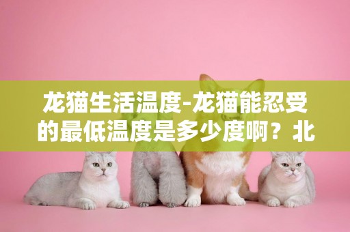 龍貓生活溫度-龍貓能忍受的最低溫度是多少度啊？北京的