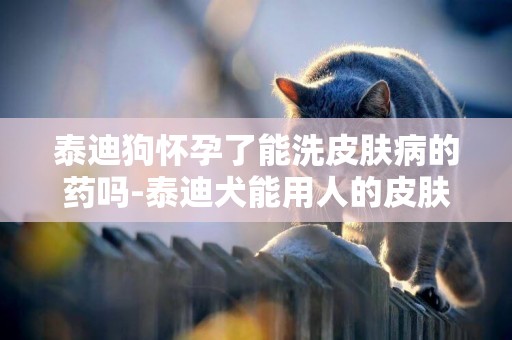 泰迪狗懷孕了能洗皮膚病的藥嗎-泰迪犬能用人的皮膚病藥嗎