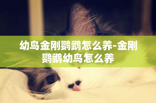 幼鳥金剛鸚鵡怎么養-金剛鸚鵡幼鳥怎么養