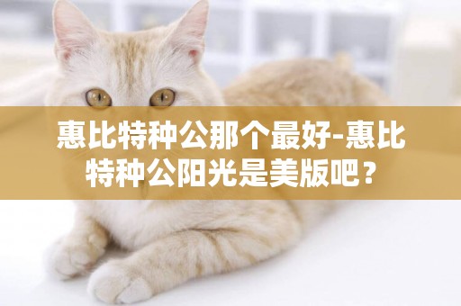 惠比特種公那個最好-惠比特種公陽光是美版吧？