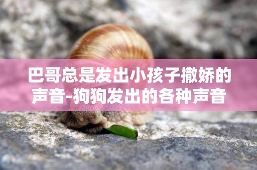 巴哥總是發出小孩子撒嬌的聲音-狗狗發出的各種聲音是什么意思？
