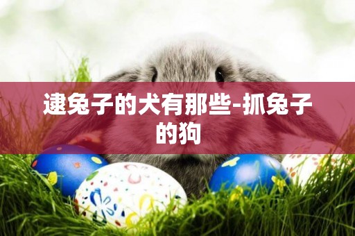 逮兔子的犬有那些-抓兔子的狗