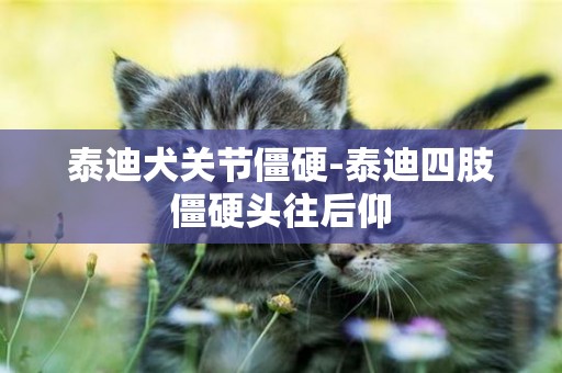 泰迪犬關節僵硬-泰迪四肢僵硬頭往后仰