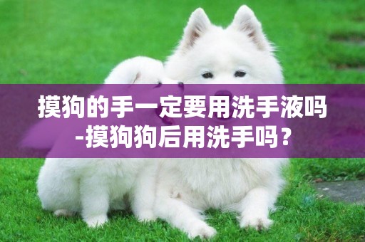 摸狗的手一定要用洗手液嗎-摸狗狗后用洗手嗎？