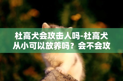 杜高犬會攻擊人嗎-杜高犬從小可以放養嗎？會不會攻擊人啊？