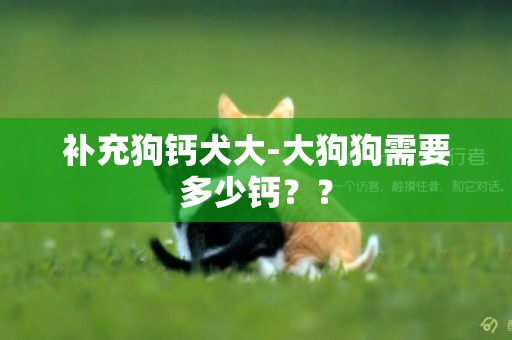 補充狗鈣犬大-大狗狗需要多少鈣？？