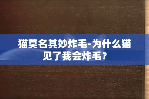 貓莫名其妙炸毛-為什么貓見了我會炸毛？