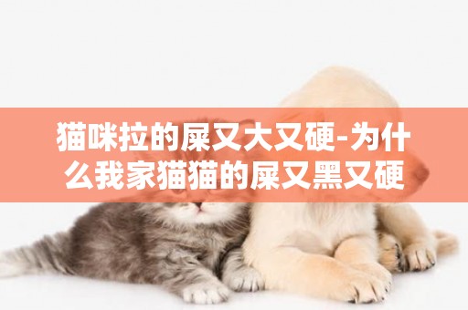 貓咪拉的屎又大又硬-為什么我家貓貓的屎又黑又硬