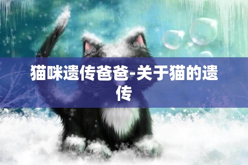 貓咪遺傳爸爸-關于貓的遺傳