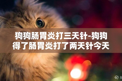 狗狗腸胃炎打三天針-狗狗得了腸胃炎打了兩天針今天晚上看它精神好多了