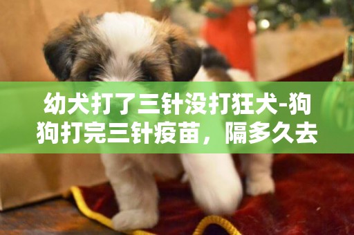 幼犬打了三針沒打狂犬-狗狗打完三針疫苗，隔多久去打狂犬疫苗